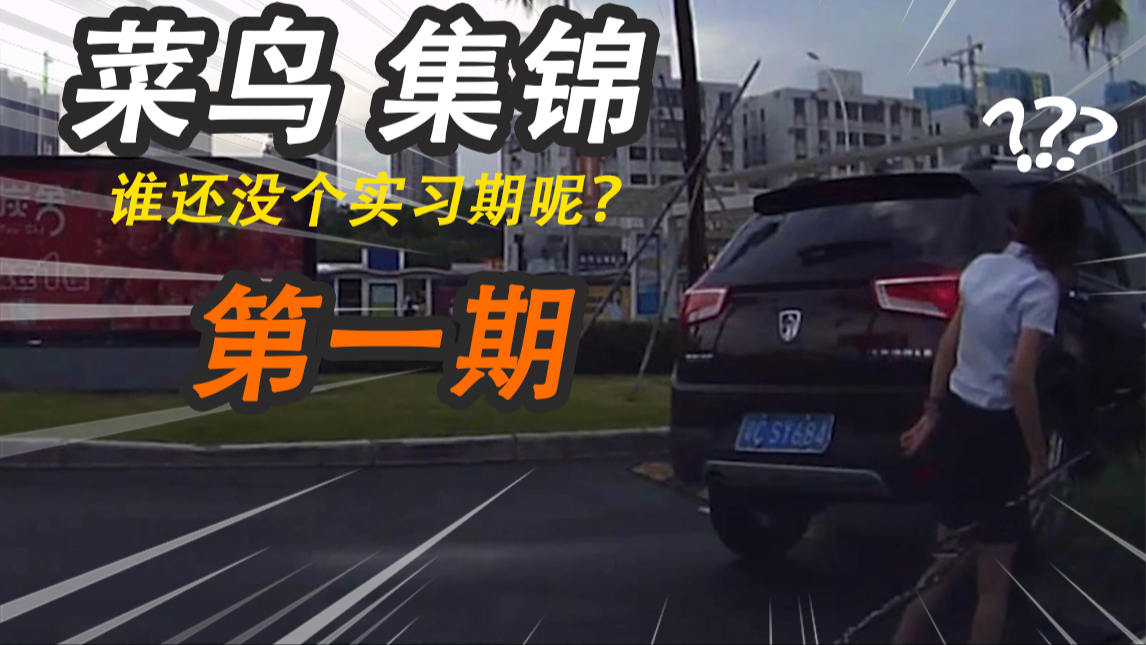 【车祸集锦小Z】菜鸟集锦第一期,谁还没个实习期呢?